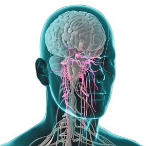 Trigeminal Neuralgia